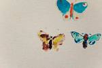 Leinwand Schmetterlingsdruck Textil - 3 x 60 x 40 cm