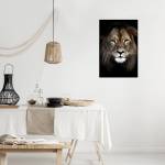 Tableau mural lion dans l'ombre 45 x 65 cm