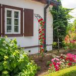 Rosenbogen Wandmontage Halbrunder zur