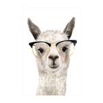 Hippes Lama mit Brille I 40 x 60 cm