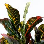 Croton Kunstpflanze