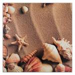 See Muscheln Wandbilder Strand Meer