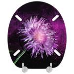WC-Sitz Purple Dust Violett - Holzwerkstoff - 38 x 6 x 47 cm