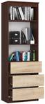 Mehrzweckschrank R60 3S 2R CLP Eiche Sonoma Dekor - Wenge Dekor