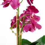 Kunstpflanze Phalaenopsis