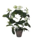 Plante artificielle Stephanotis Blanc - Pierre - Textile - 40 x 50 x 40 cm