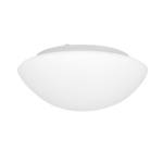 Plafonnier de salle de bain Ceiling Verre / Acier - 1 ampoule