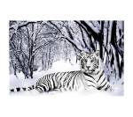 Wei脽er Tiger Wandkunst Schnee im