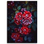 Leinwandbild Rote Rosen Blumen Pflanzen 40 x 60 cm