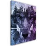 Lila Natur Leinwandbilder Wald Wolf