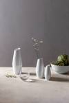 FADED JOOP! CORNFLOWER Vase / Karaffe