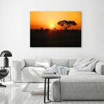 Wandbilder Afrika Baum Sonnenuntergang