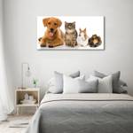 Wandbild Hund und Katze 140 x 70 cm