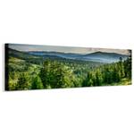 Panoramabild WALD Bäume See Berge Natur Beige - Blau - Grau - Grün - Textil - 145 x 45 x 45 cm