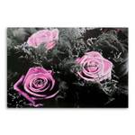 Wandbild Rosa Rosen Natur Blumen 120 x 80 cm