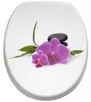 WC-Sitz Orchidee Violett - Holzwerkstoff - 38 x 6 x 47 cm