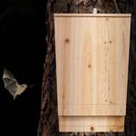 XL Fledermauskasten aus Holz