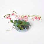 Künstliche pink-weiße Phalaenopsis Pink - Kunststoff - 25 x 38 x 38 cm