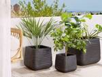 Outdoor Blumentopf PARIKIA Schwarz - 38 x 37 x 38 cm