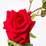Rosengirlande mit Rosen Rot - Kunststoff - 10 x 180 x 180 cm