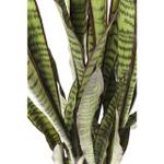 Deko Pflanze Sansewieria Grün - Kunststoff - 35 x 155 x 35 cm