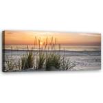 KUNSTDRUCK Beach with Coastal Grasses 1 120 x 40 cm