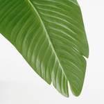 Plante artificielle Bananier en pot Vert - Matière plastique - 30 x 180 x 30 cm