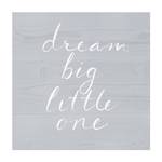 Holzwand grau - Dream big 80 x 80 cm