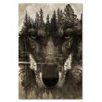 Wolf NaturTiere Leinwandbilder Wald