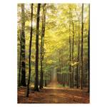 Puzzle Waldweg 1000 Teile Papier - 26 x 6 x 36 cm