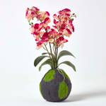 Kunstblumen Phalaenopsis Orchidee Beige - Kunststoff - 17 x 60 x 60 cm