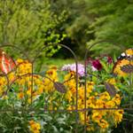 Bordure de jardin en métal 4 éléments Marron - Métal - 39 x 28 x 2 cm