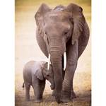Elefantenbaby Elefant Puzzle und Der
