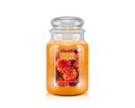 Duftkerze Golden Mums & Honeycrisp Orange - Wachs - 10 x 17 x 10 cm