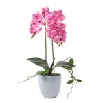 K眉nstliche pinke Phalaenopsis-Orchidee
