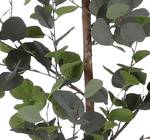 Plante artificielle Eucalyptus Vert - Métal - Matière plastique - Textile - 30 x 150 x 30 cm