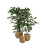 Kunstpflanze Bambus Grün - Kunststoff - 75 x 120 x 75 cm