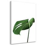 KUNSTDRUCK Monstera Leaves 80 x 120 cm