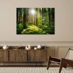 KUNSTDRUCK Green Forest Sunlight 1 120 x 80 cm