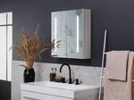 Armoire de toilette avec miroir CHABUNCO Argenté - Blanc