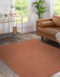 Tapis Softy Plaine Couleur Unie Terr 60 x 100 cm