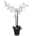 Kunstpflanze Phalaenopsis Weiß - Kunststoff - 51 x 79 x 75 cm