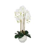 Künstliche Pflanze Phalaenopsis Weiß - Durchmesser: 34 cm