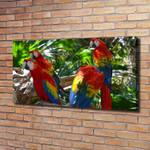 Wandbild Aras Papageien 120 x 60 cm