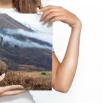 Image Cerf MONTAGNES Nature Paysage 3D 30 x 20 x 20 cm