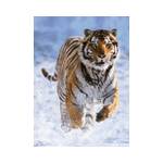 500 Tiger im Schnee Teile Puzzle