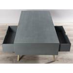 Table basse grise 1 niche 2 tiroirs Gris - Bois manufacturé - 60 x 38 x 120 cm