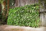 Sichtschutz Evergreen Grün - Holzwerkstoff - Kunststoff - 5 x 100 x 200 cm