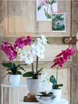 Kunstpflanze Phalaenopsis Weiß - Kunststoff - 38 x 66 x 38 cm