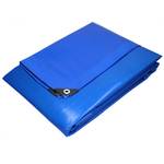 Bâche avec oillets 6x10 m 260g/m² Bleu Bleu - Matière plastique - 1000 x 1 x 600 cm